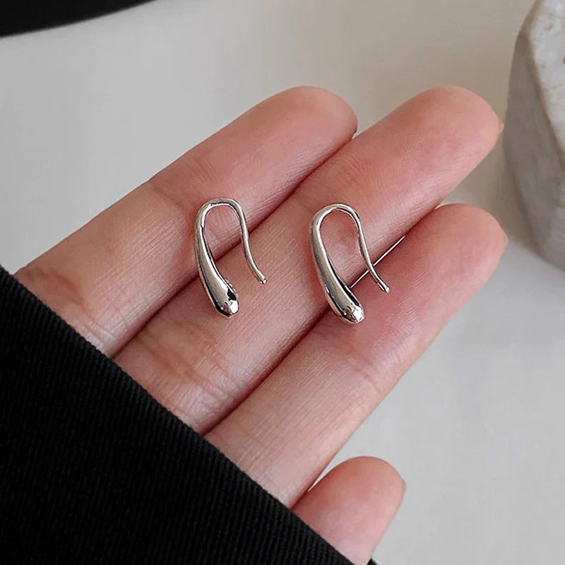 S925 Dainty Droplet Hook Earrings