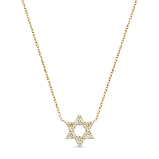 Dainty Star of David Necklace